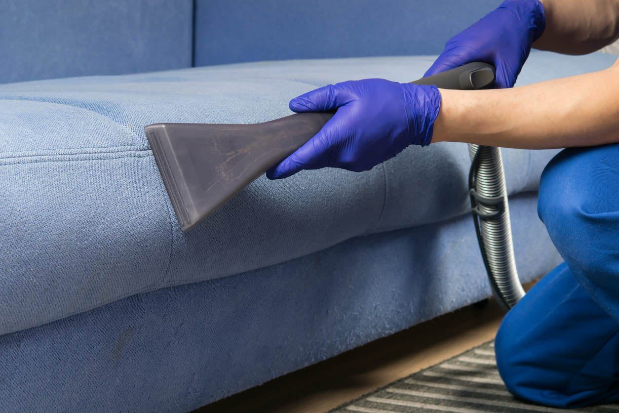 professional leather sofa cleaning company